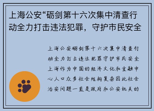 上海公安“砺剑第十六次集中清查行动全力打击违法犯罪，守护市民安全